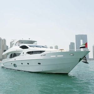 DTH 101 FT MAJESTY - Image 4