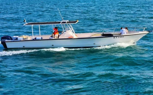 42FT-SPEED1-6
