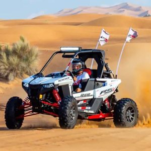 1 SEATER BUGGY - Image 5