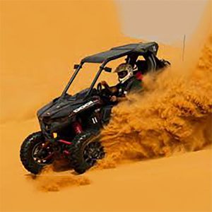 1 SEATER BUGGY - Image 2
