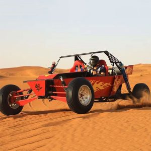 1 SEATER BUGGY - Image 4