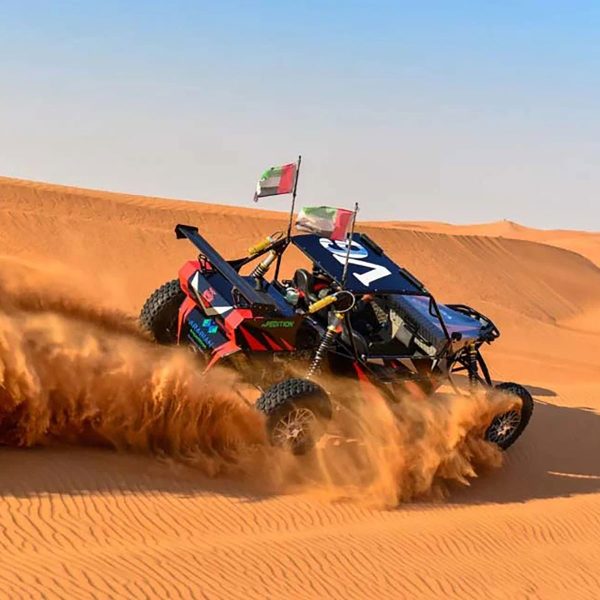 2-SE-BUGGY--EDIT