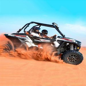 2 SEATER BUGGY - Image 3