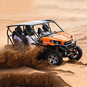 BUGGY - Image 5