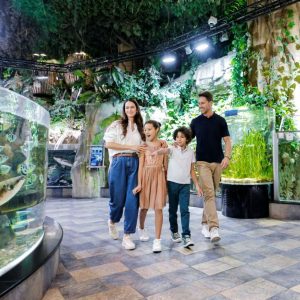 DUBAI AQUARIUM - UNDER WATER ZOO AND PENQUINE COVE - Image 1