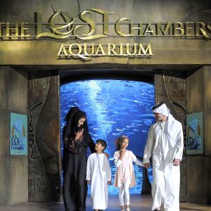 LOST CHAMBER ADMISSION - Image 5