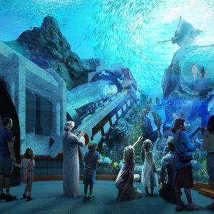 SEA WORLD - ABU DHABI - Image 3