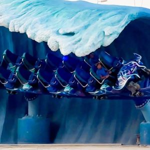 SEA WORLD - ABU DHABI - Image 4