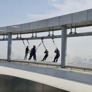 SKY VIEW - EDGE WALK - Image 4