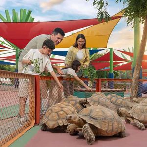 DUBAI SAFARI PARK JOURNEY (AVAILABLE OFFLINE) - Image 4
