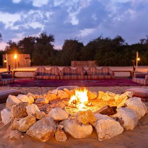 EVENING DESERT SAFARI - Image 3