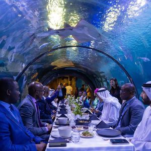 NATIONAL AQUARIUM - ABU DHABI - Image 4