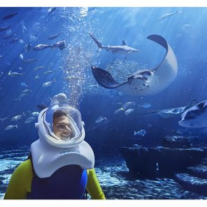 Aqua Trek Extreme - Image 3