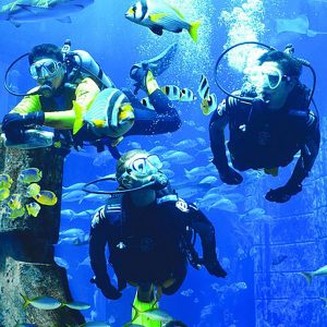 Explorer Dive - Image 3