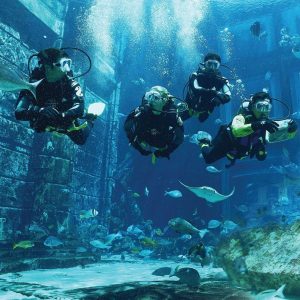 Explorer Dive - Image 4