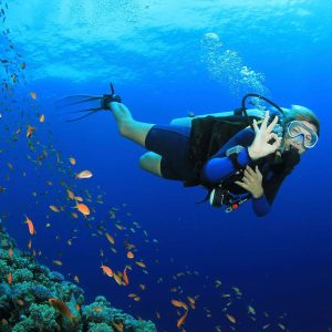Explorer Dive - Image 1