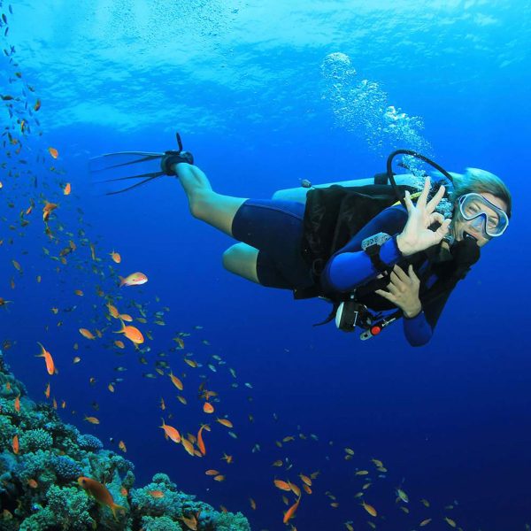 Discovery-Dive--5-EDIT