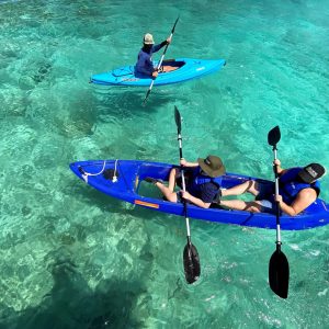 Dolphin Kayak (Peak} - Image 1