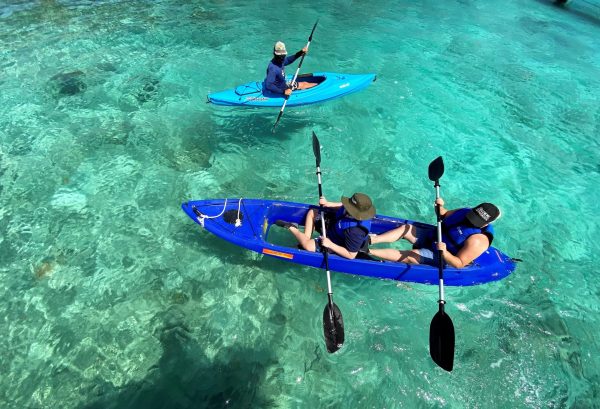 Dolphin Kayak (Shoulder) -1 EDIT