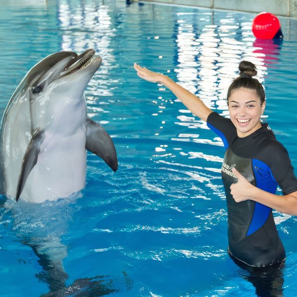 Dolphin-Meet-&-Greet-(Shoulder)--6-EDIT