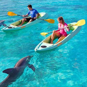 Dolphin Paddle (Shoulder) - Image 4