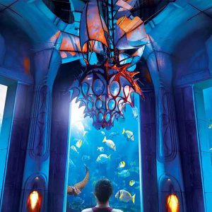 Fish Tale with Lost Chamber Admission - Image 3