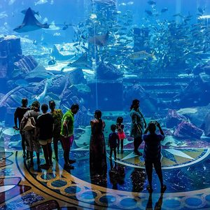 Fish Tale with Lost Chamber Admission - Image 1