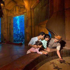 Fish Tale with Lost Chamber Admission - Image 5