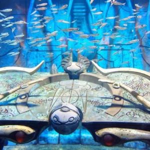 Fish Tale with Lost Chamber Admission - Image 2