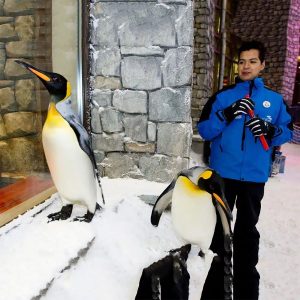 Penquin Encounter/King Croc Encounter/Otter Encounter/Ray Encounter/Shark Trainer Encounter - Image 1