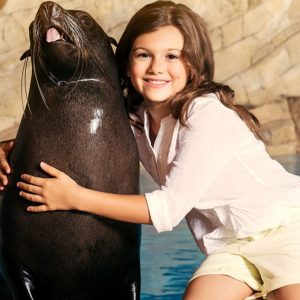 Sea Lion Encounter (Shoulder) - Image 3