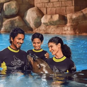 Sea Lion Encounter (Shoulder) - Image 4