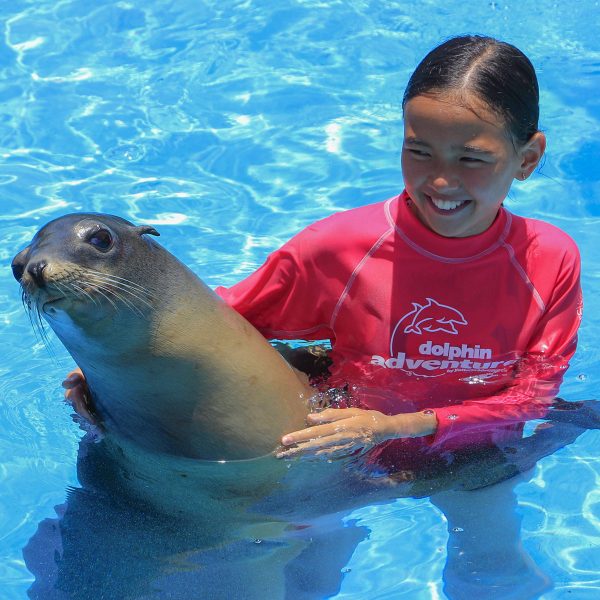 Sea-Lion-Encounter-(Shoulder)--4-EDIT