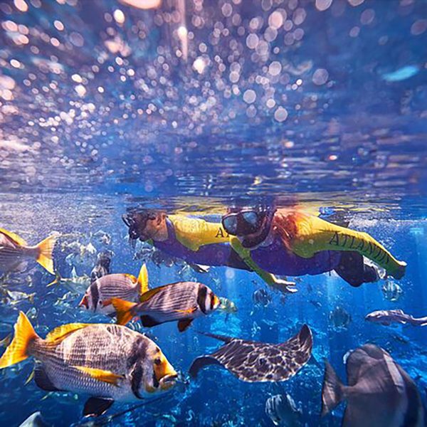 Ultimate-Snorkel--1-EDIT