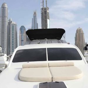 DTH 66 FT MAJESTY - Image 3